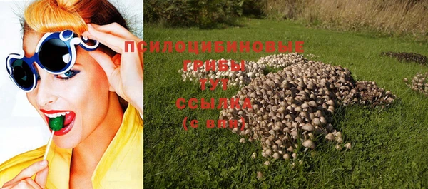 дмт Армянск