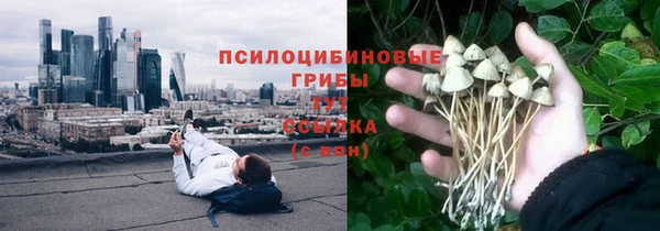 дмт Армянск